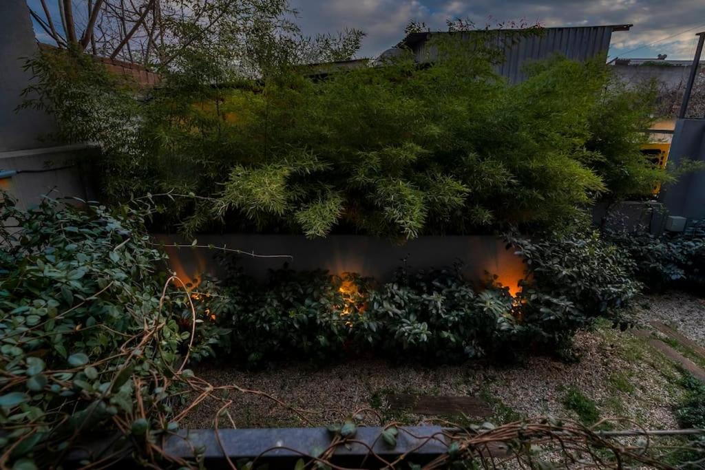 Stunning Duplex Flat With A Garden & Winter Patio